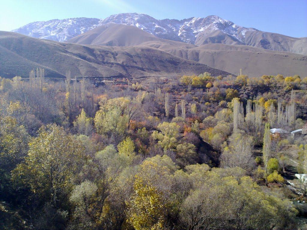 روستای سپه سالار