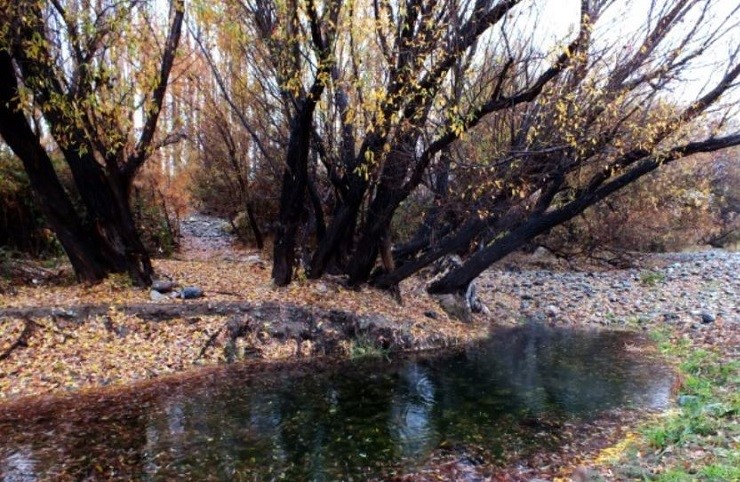 پارک ملی خجیر