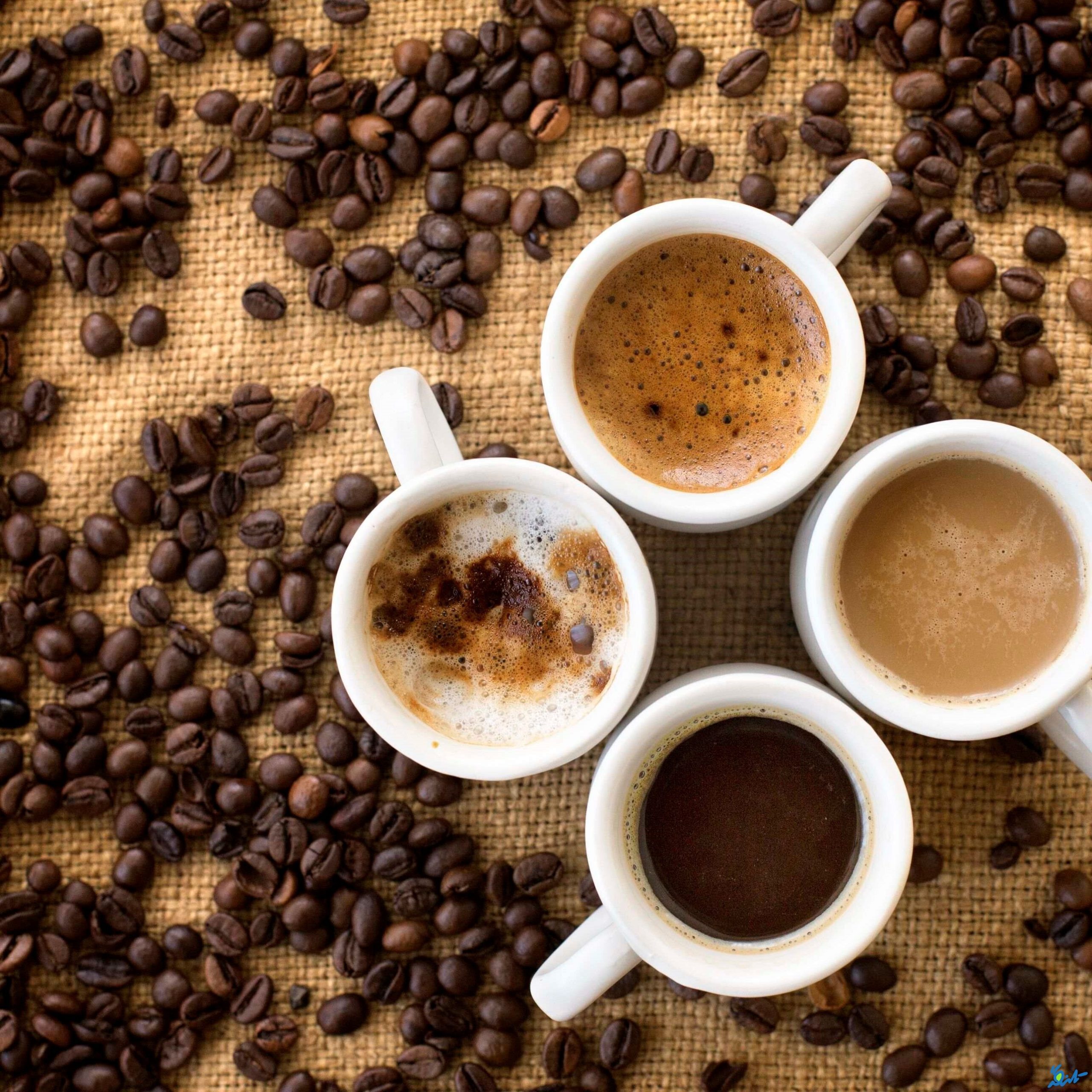 چه مقدار کافئین در قهوه روبوستا وجود دارد؟