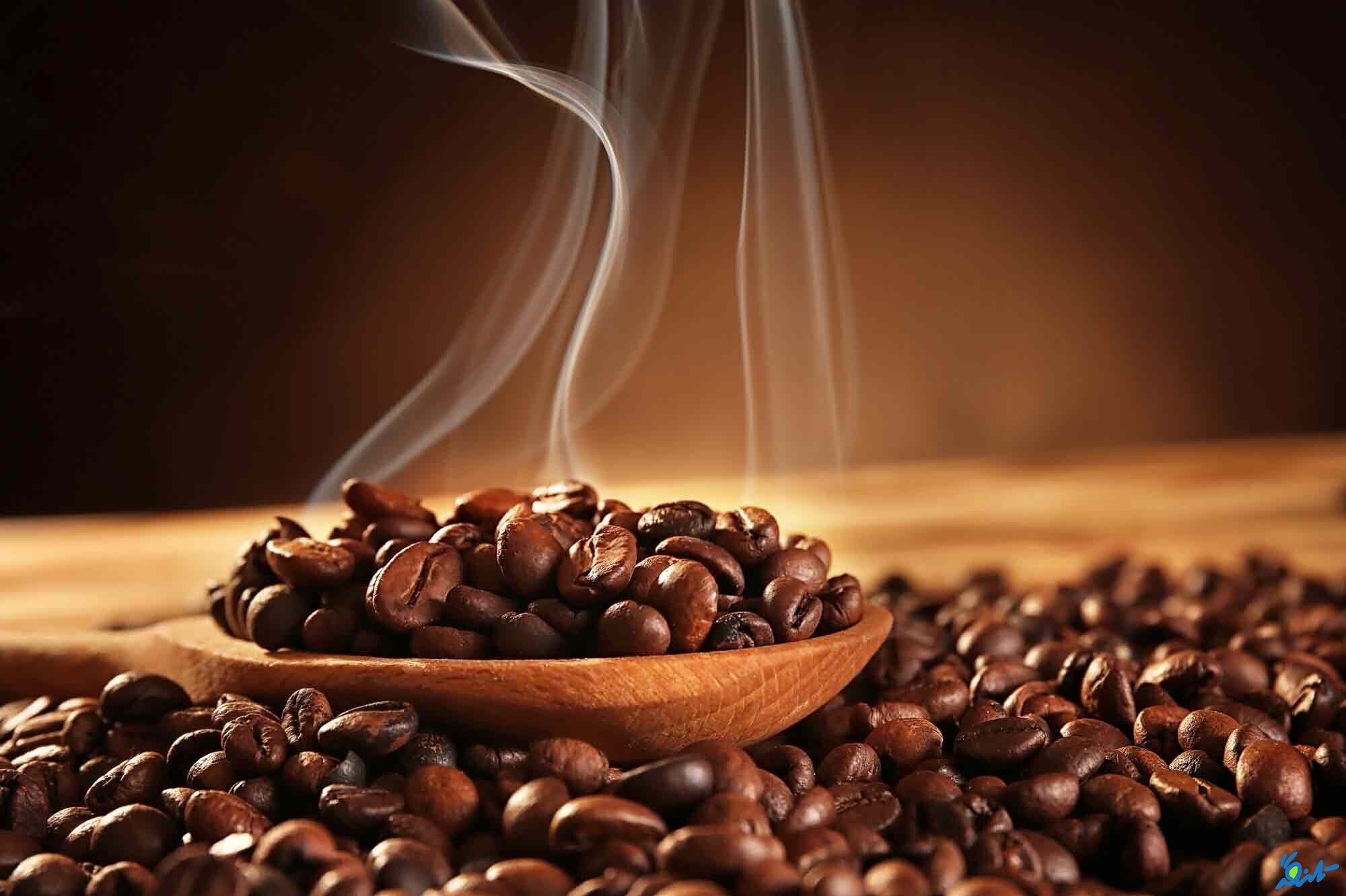 ۱۳ تولیدکننده برتر قهوه روبوستا در جهان