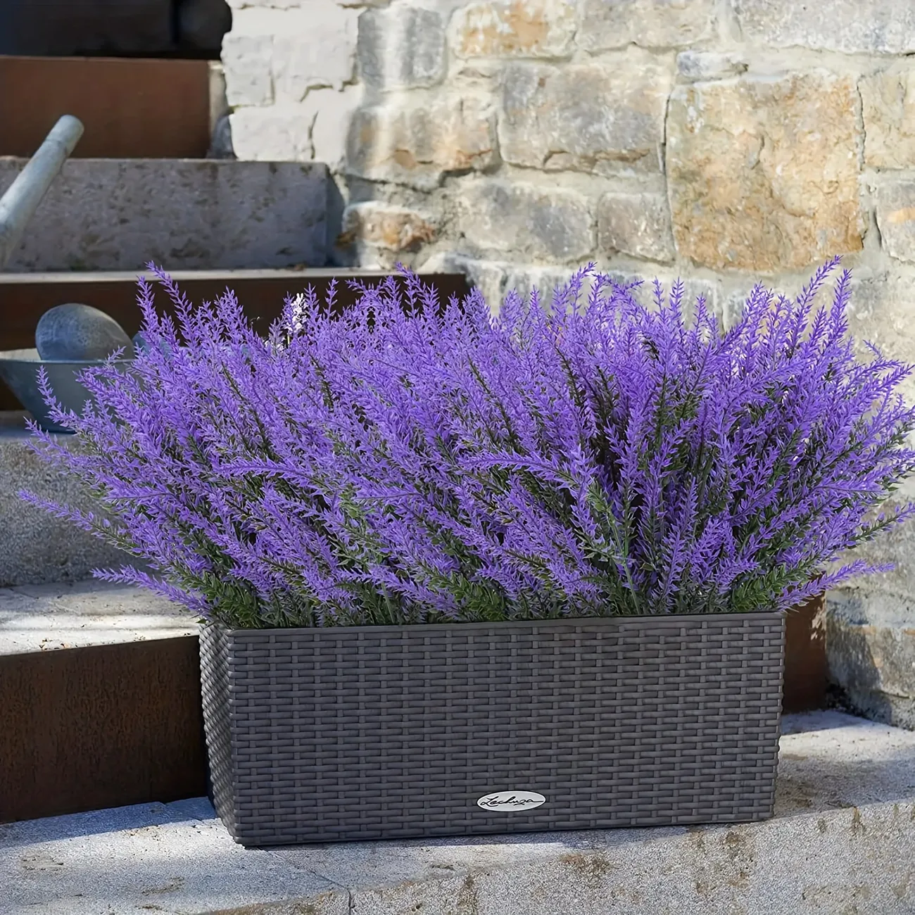 اسطوخودوس (Lavender)