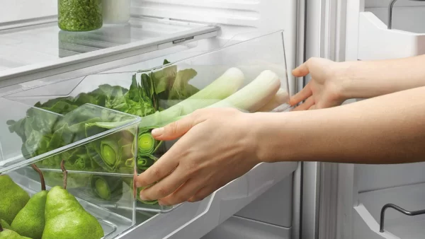 نگهداری سبزی خوردن در یخچال