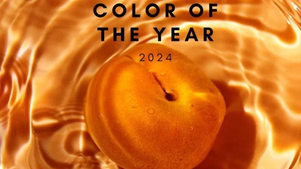 با رنگ سال 2024 چه لباس هایی ست کنیم؟