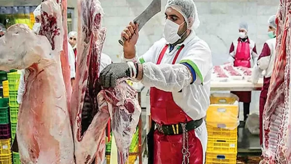 سرانه مصرف گوشت هر ایرانی به زیر یک کیوگرم رسیده
