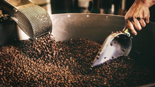 بهترین کشور های تولید کننده قهوه در جهان کدامند؟