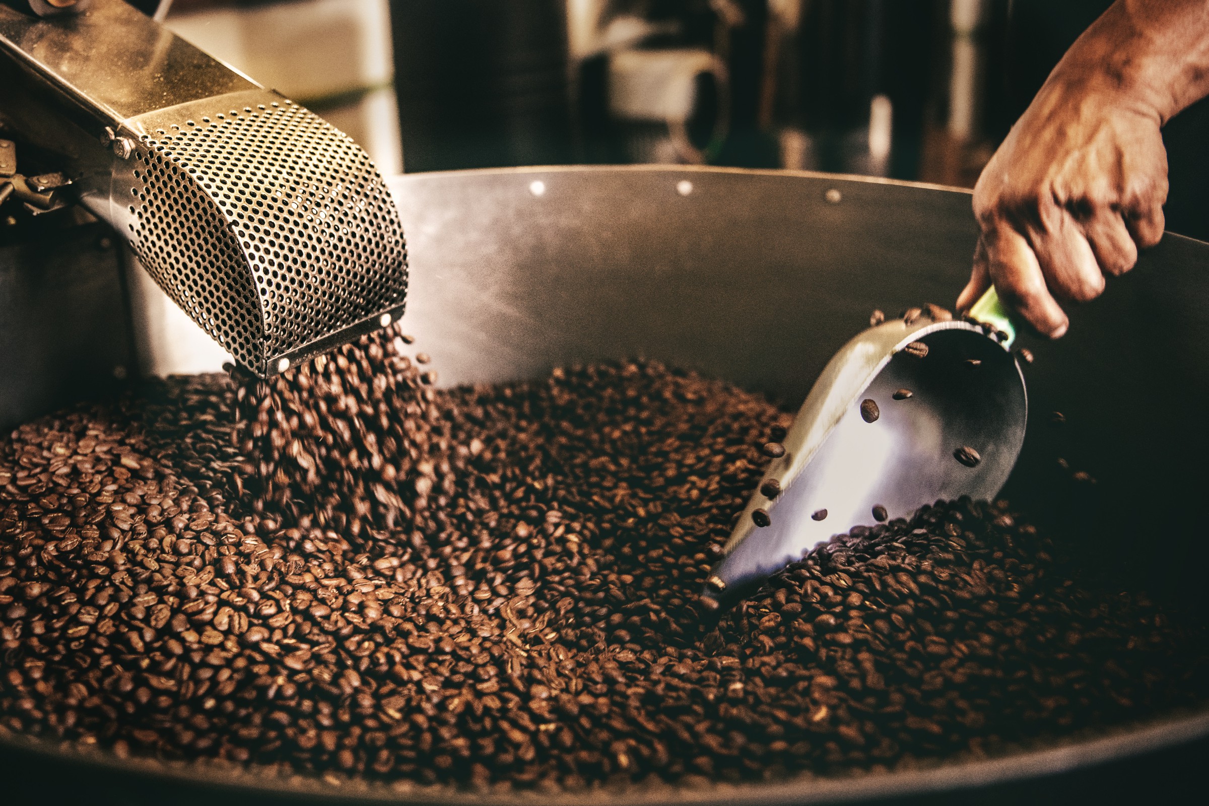 بهترین کشور های تولید کننده قهوه در جهان کدامند؟
