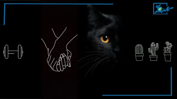 101 تصویر زمینه مشکی ساده و خفن دخترانه و پسرانه (رایگان)