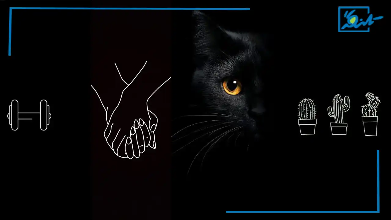 101 تصویر زمینه مشکی ساده و خفن دخترانه و پسرانه (رایگان)