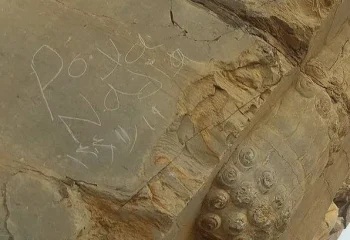 پاکسازی یادگارینویسی گردشگران بر دروازه ملل تخت جمشید ؛ عاملان شناسایی شدند