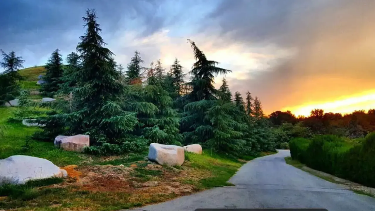 باغ گیاه شناسی