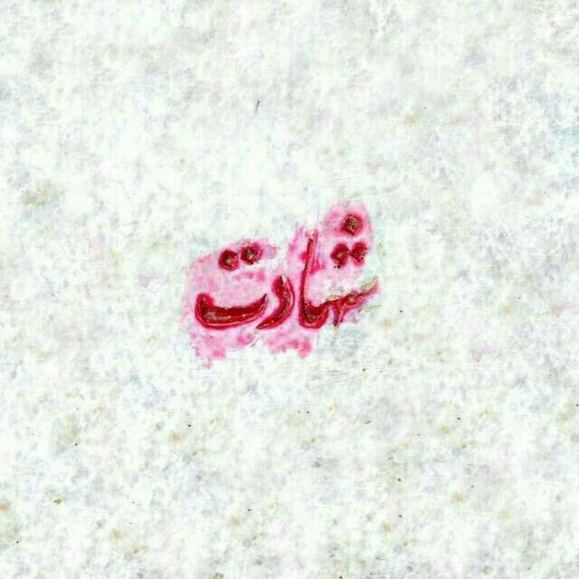 شهادت