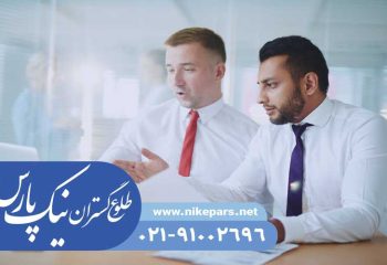 رتبه بندی شرکت نیک پارس