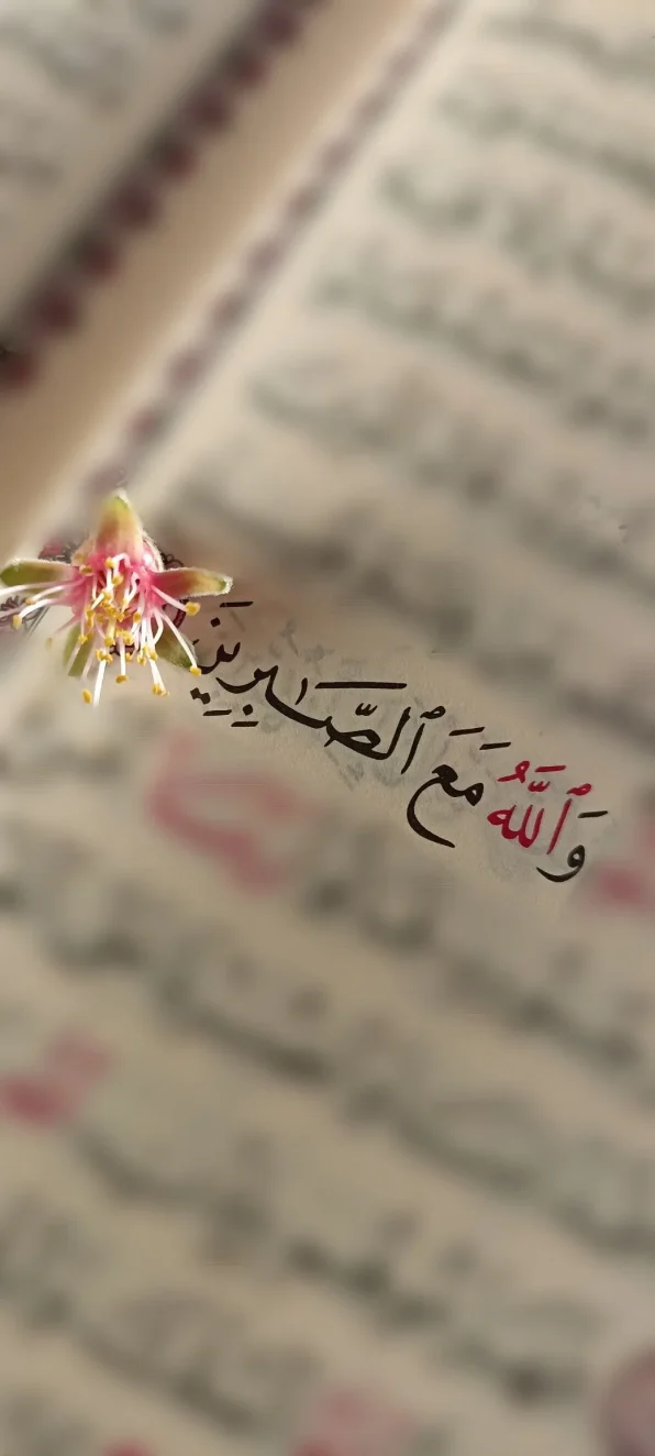 عکس پروفایل قرآنی