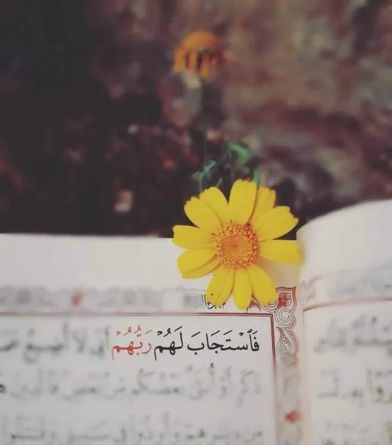 عکس پروفایل قرآنی
