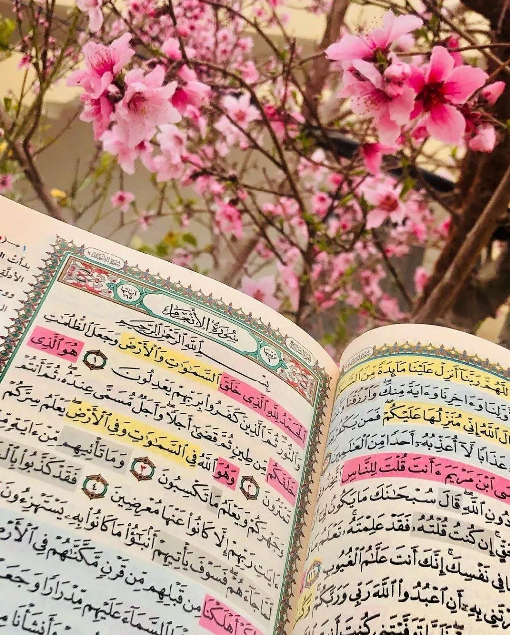 عکس پروفایل قرآنی