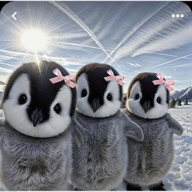 عکس پروفایل گروه دوستانه