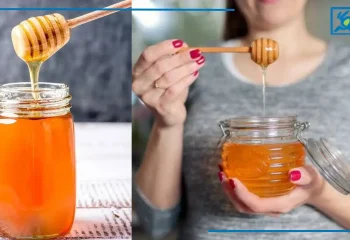 نکات و نحوه نگهداری از عسل طبیعی در خانه برای مدت طولانی